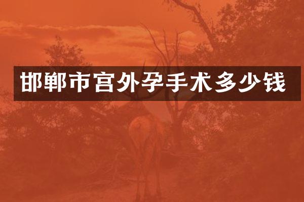 邯郸市宫外孕手术多少钱