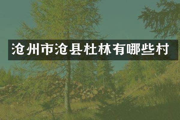 沧州市沧县杜林有哪些村