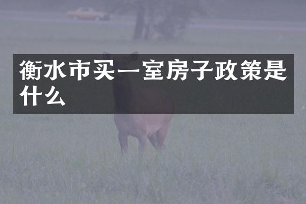 衡水市买一室房子政策是什么