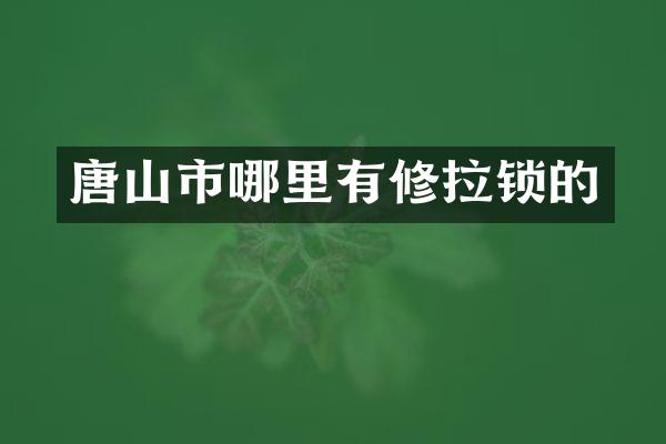 唐山市哪里有修拉锁的