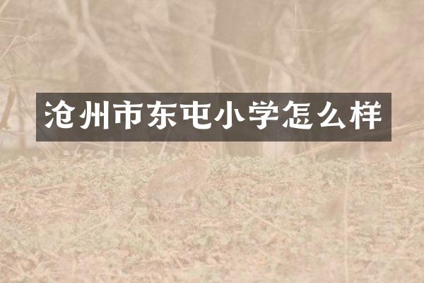 沧州市东屯小学怎么样