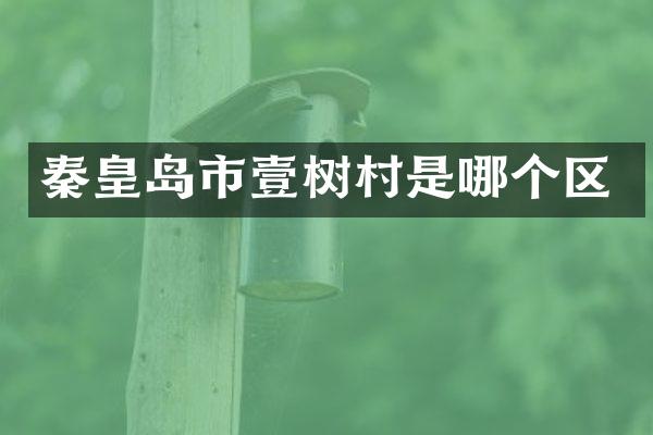秦皇岛市壹树村是哪个区