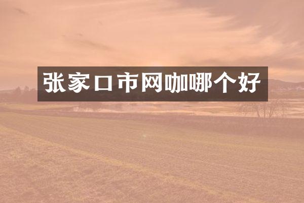 张家口市网咖哪个好
