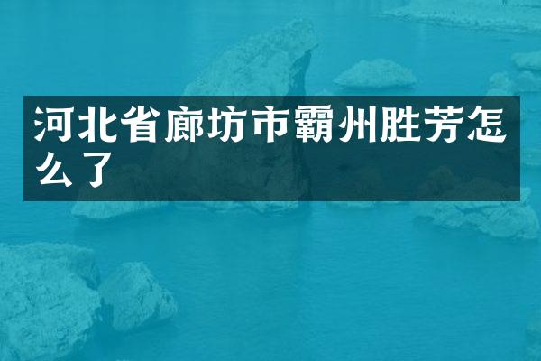 河北省廊坊市霸州胜芳怎么了