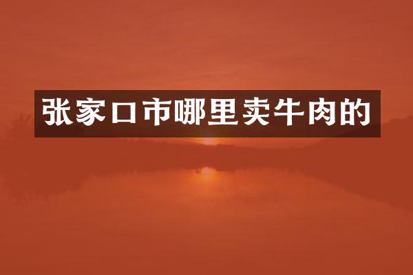 张家口市哪里卖牛肉的
