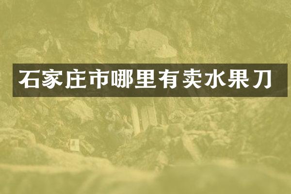 石家庄市哪里有卖水果刀
