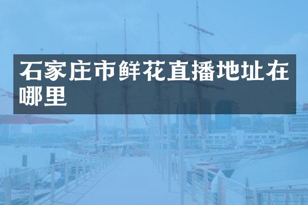 石家庄市鲜花直播地址在哪里
