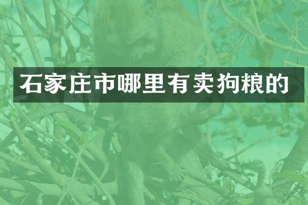 石家庄市哪里有卖狗粮的