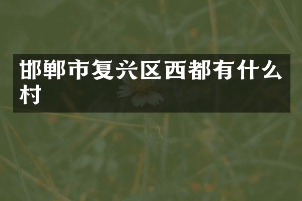 邯郸市复兴区西都有什么村