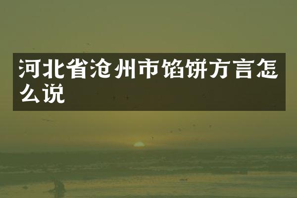 河北省沧州市馅饼方言怎么说