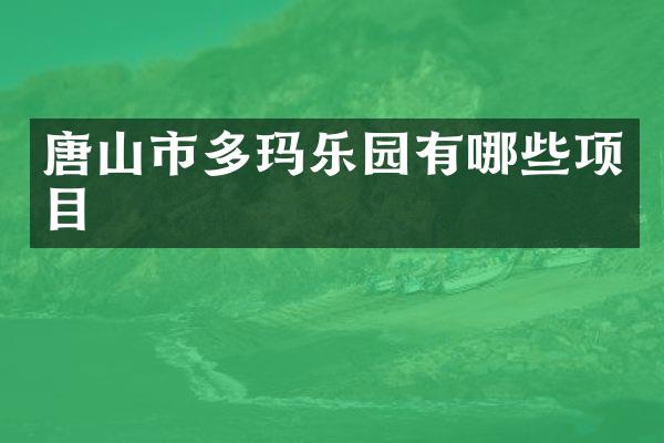 唐山市多玛乐园有哪些项目