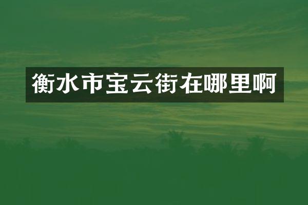 衡水市宝云街在哪里啊