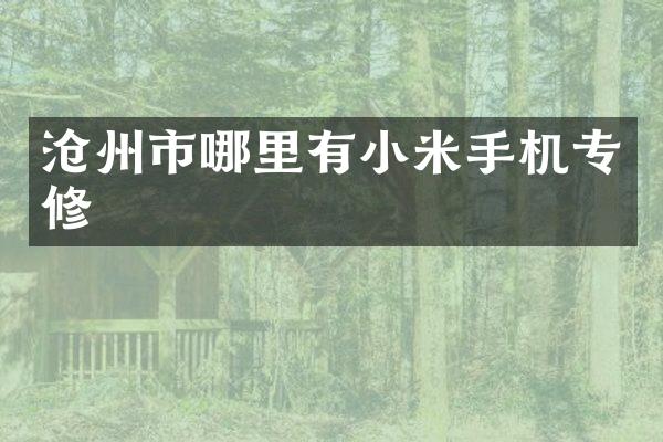 沧州市哪里有小米手机专修