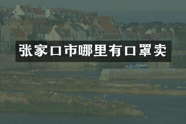张家口市哪里有口罩卖