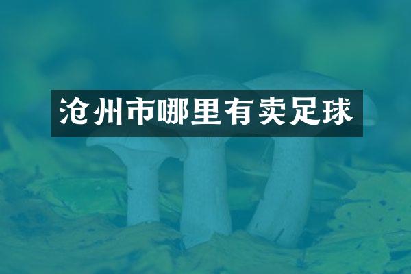 沧州市哪里有卖足球
