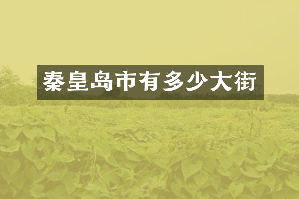 秦皇岛市有多少大街