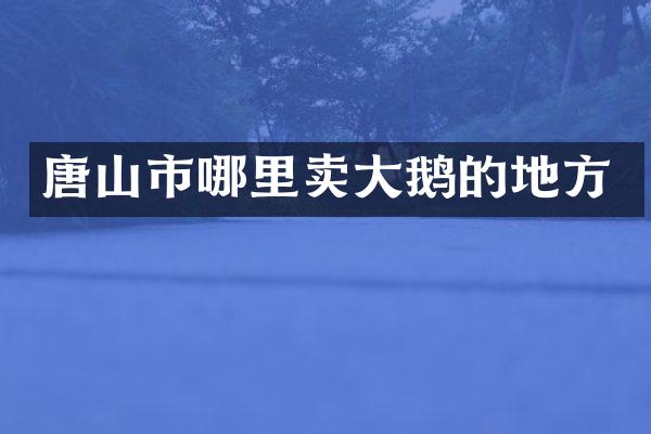 唐山市哪里卖大鹅的地方