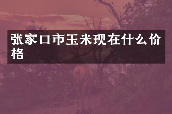 张家口市玉米现在什么价格