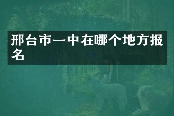 邢台市一中在哪个地方报名
