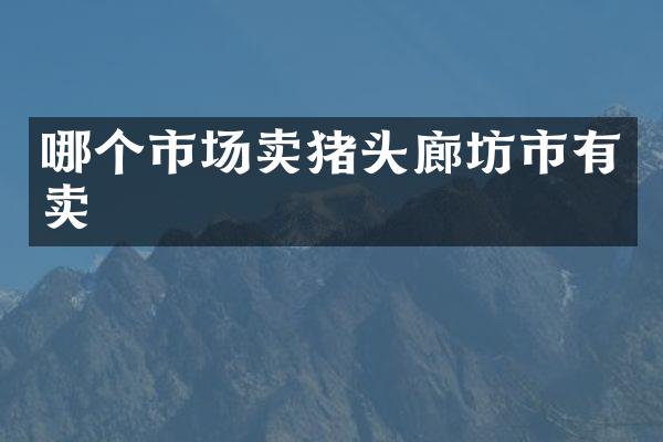 哪个市场卖猪头廊坊市有卖