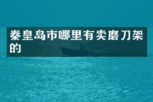 秦皇岛市哪里有卖磨刀架的