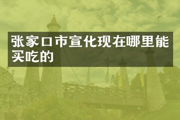 张家口市宣化现在哪里能买吃的