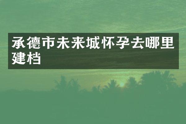 承德市未来城怀孕去哪里建档