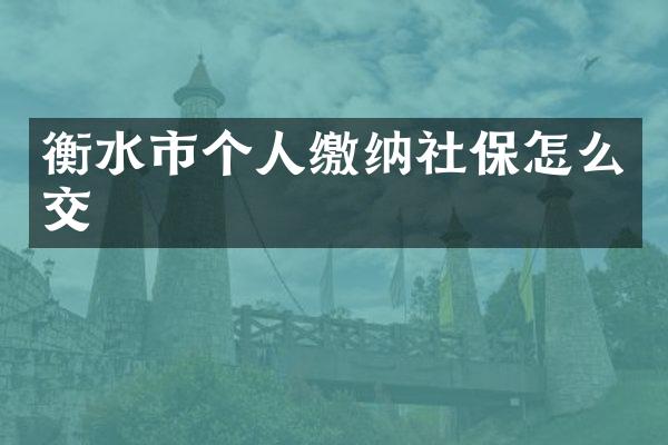 衡水市个人缴纳社保怎么交