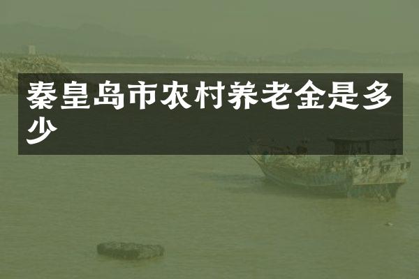 秦皇岛市农村养老金是多少