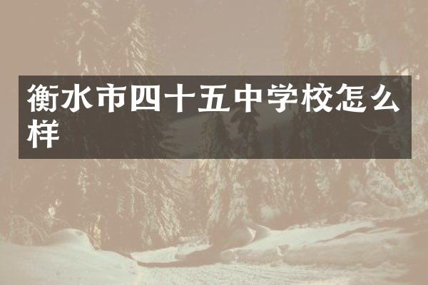 衡水市四十五中学校怎么样