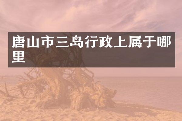 唐山市三岛行政上属于哪里