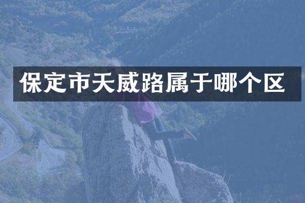 保定市天威路属于哪个区