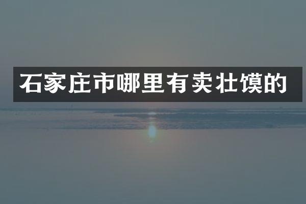 石家庄市哪里有卖壮馍的