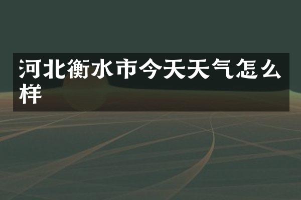 河北衡水市今天天气怎么样