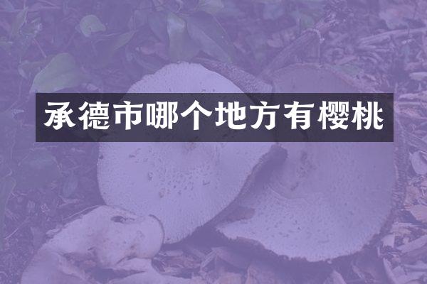 承德市哪个地方有樱桃