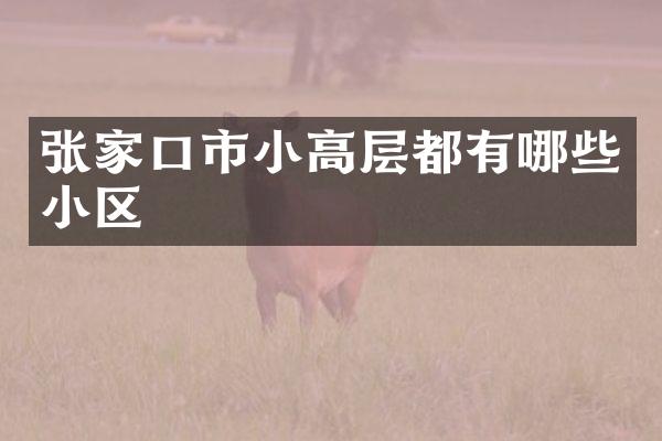 张家口市小高层都有哪些小区