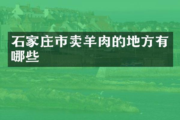 石家庄市卖羊肉的地方有哪些