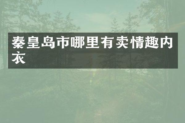 秦皇岛市哪里有卖情趣内衣