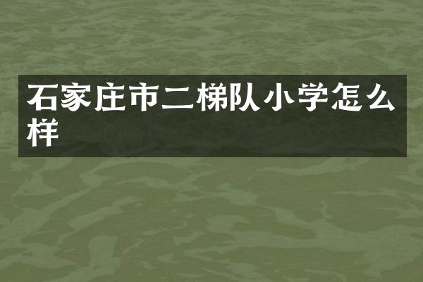 石家庄市二梯队小学怎么样
