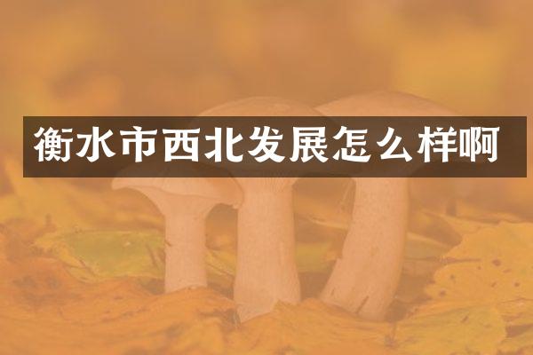 衡水市西北发展怎么样啊