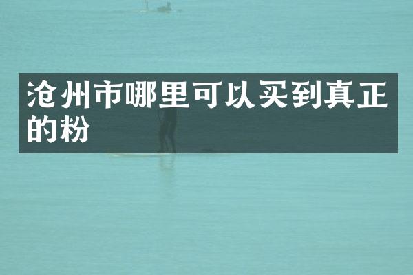 沧州市哪里可以买到真正的粉