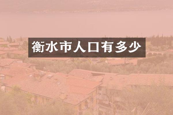 衡水市人囗有多少