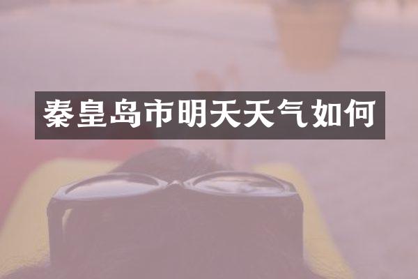 秦皇岛市明天天气如何