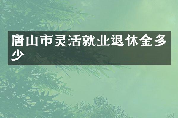 唐山市灵活就业退休金多少