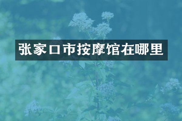 张家口市按摩馆在哪里