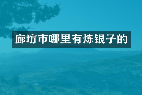 廊坊市哪里有炼银子的