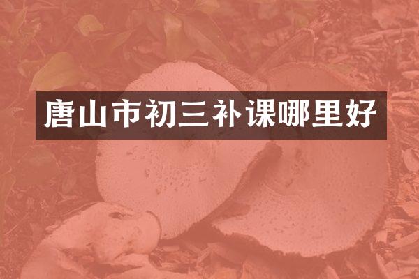 唐山市初三补课哪里好