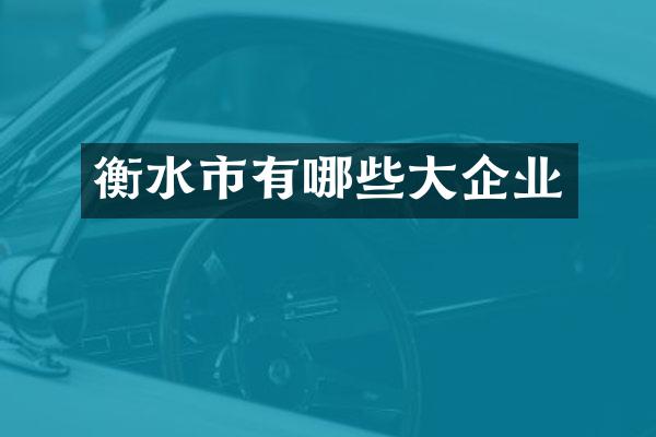 衡水市有哪些大企业