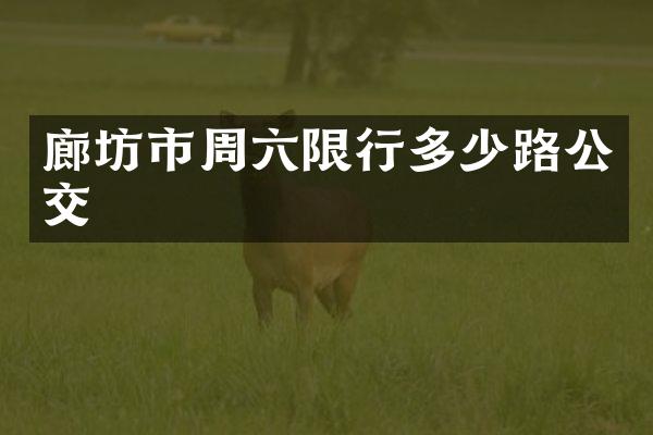 廊坊市周六限行多少路公交