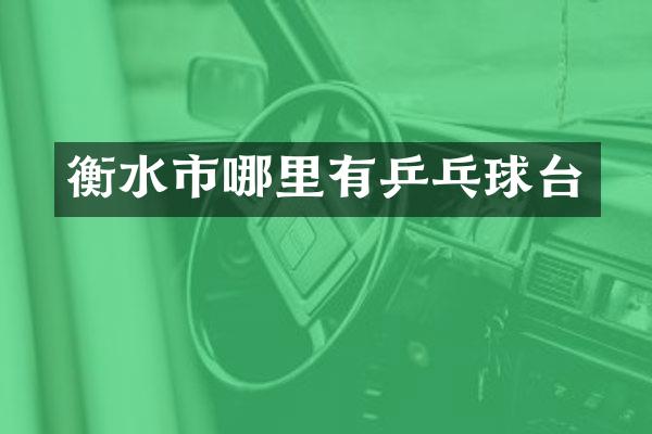 衡水市哪里有乒乓球台